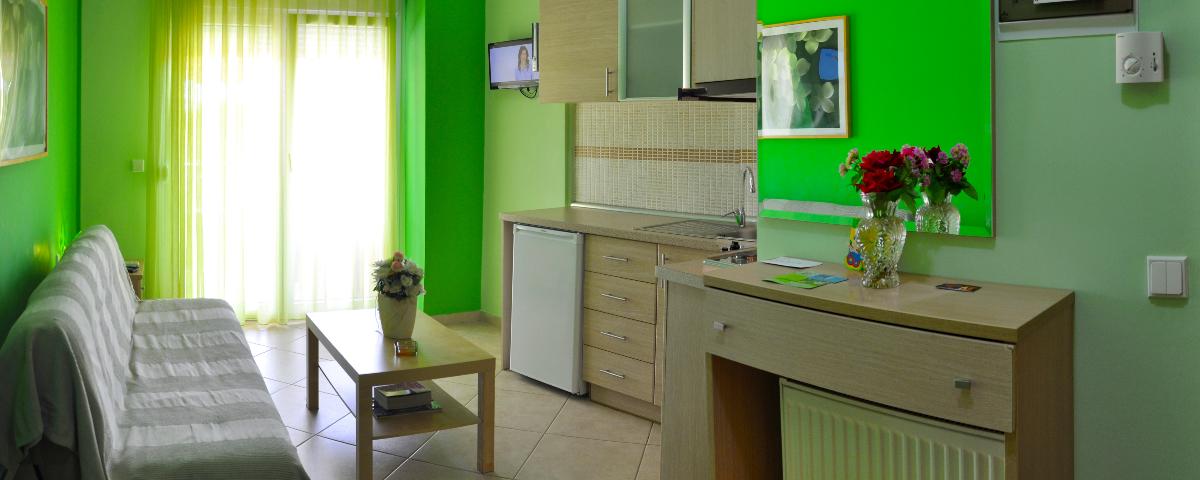 iridahouse-green-livingroom-kitchen1