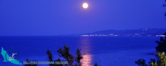 kallithea-fullmoon-nikon2012-12903-850x340-logo