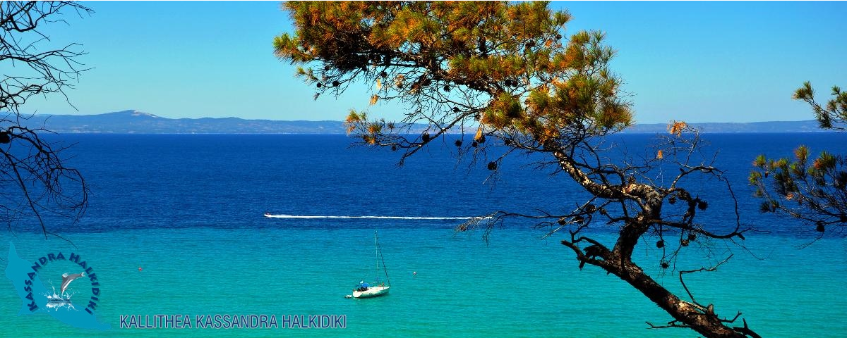 kallithea-nikon2012-16108-850x340-logo