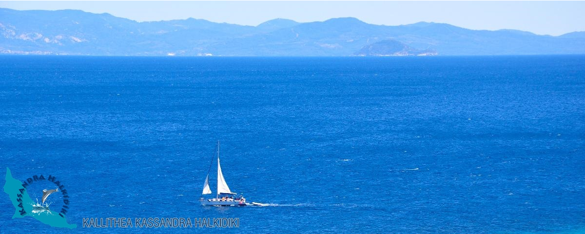 kallithea-nikon2016-013615-850x340-logo